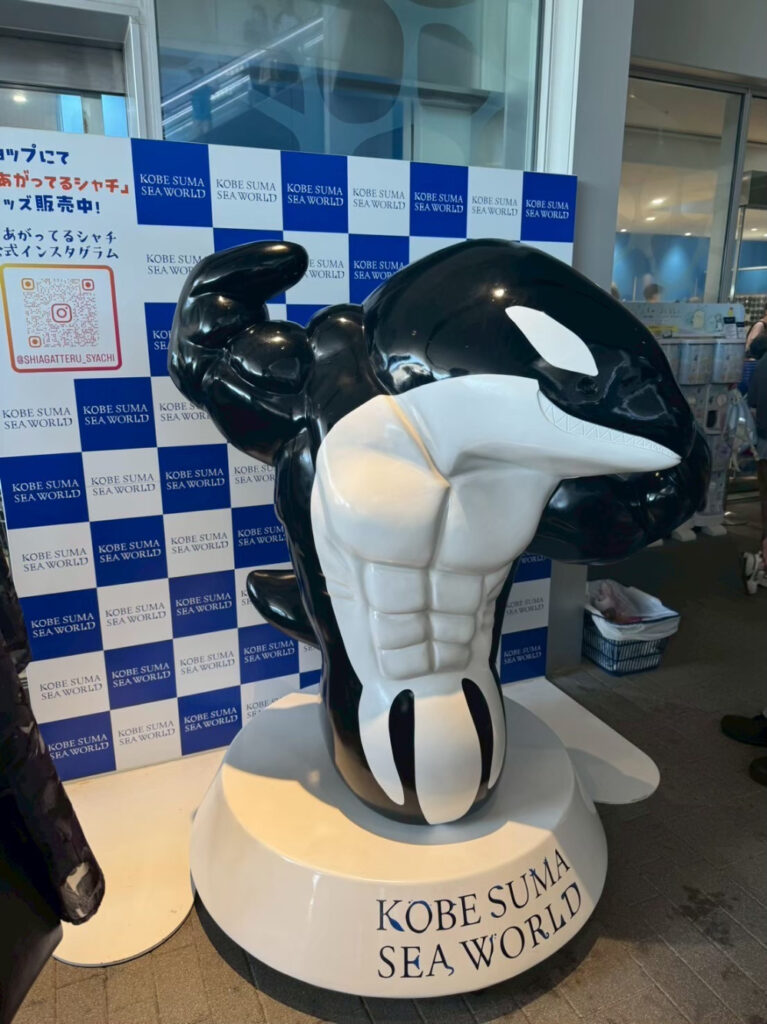 ムキムキシャチくん